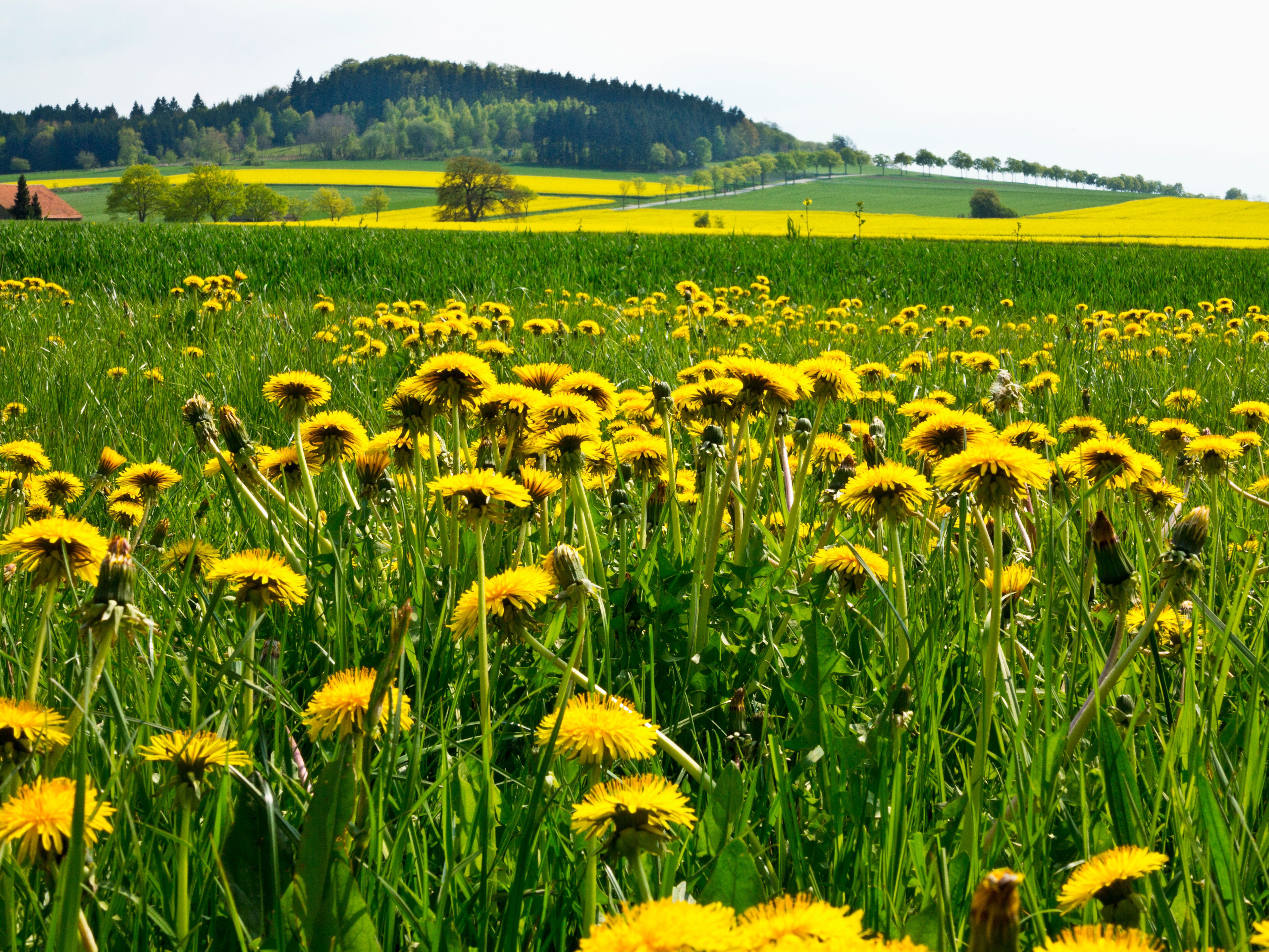 Cheap Car Rentals In Gummersbach Momondo