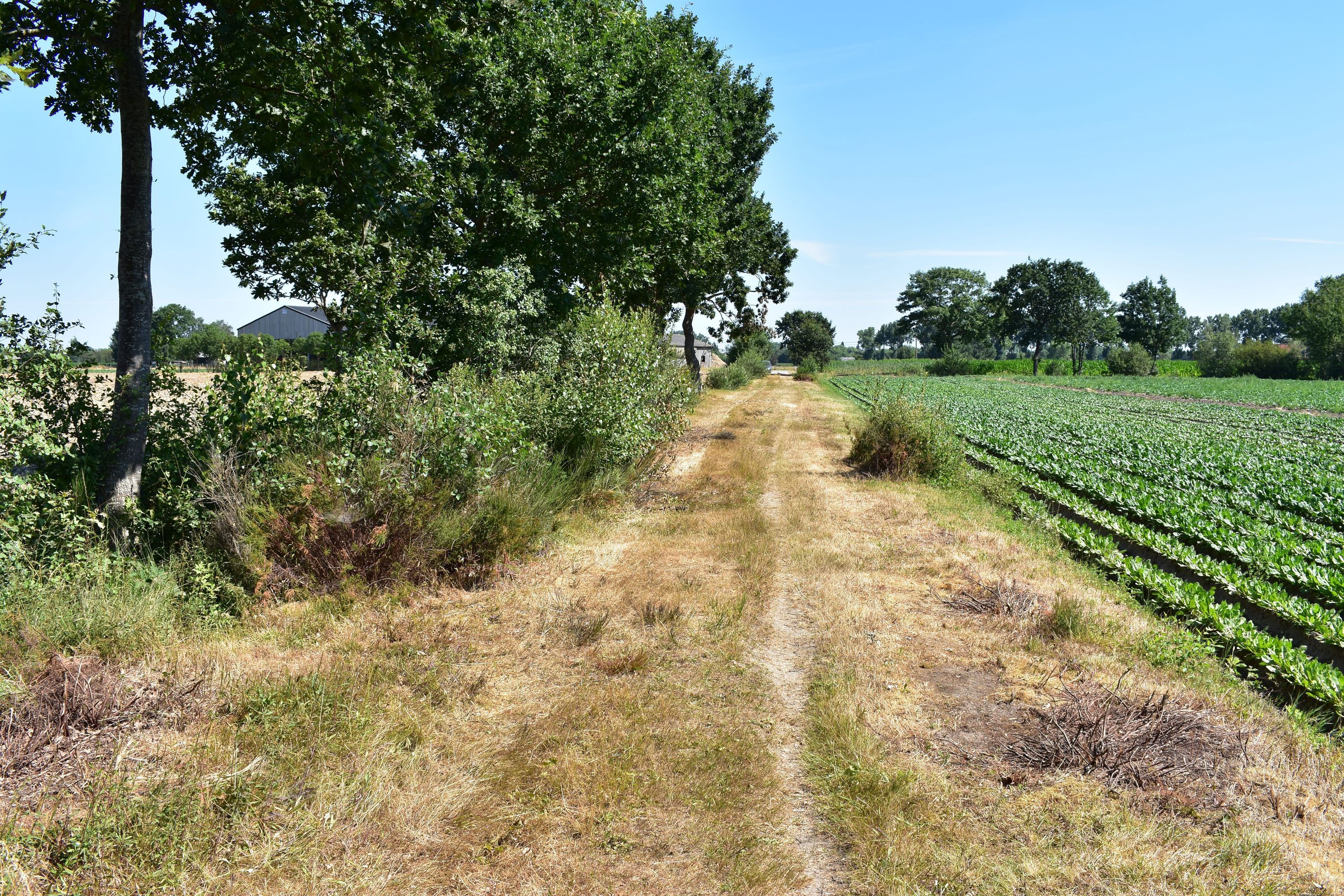 Hotels In Rust From 2 924 Find Cheap Rust Hotels With Momondo