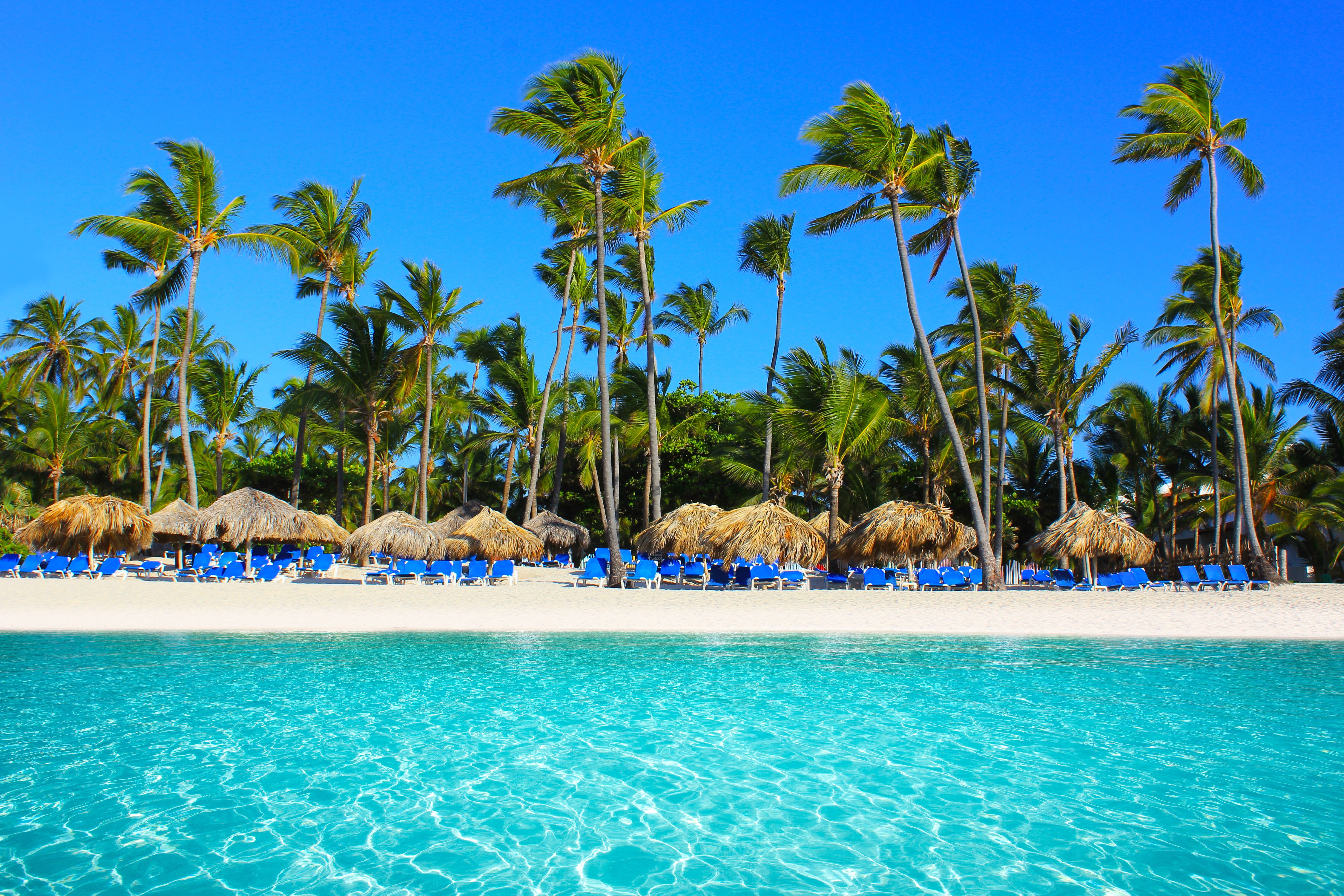 144,220 Cheap Flights to Punta Cana in 2024 momondo
