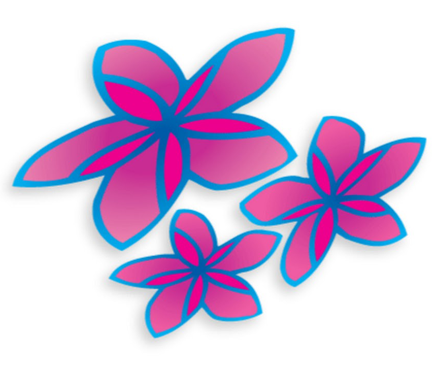 Air Rarotonga