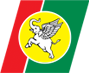 Yangon Airways